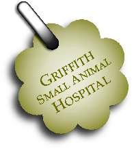 Griffith Small Animal Hospital